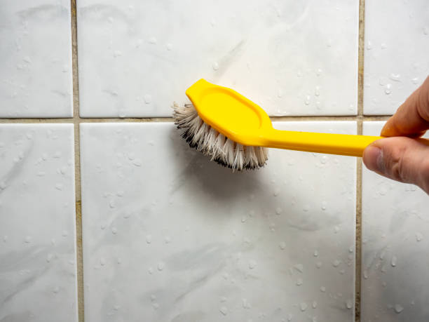 Best Home Mold Removal  in Shrewsbury, PA