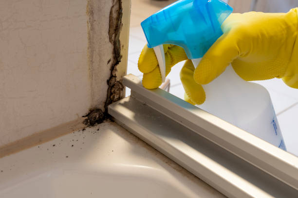 Best Mold Cleaning Services  in Shrewsbury, PA