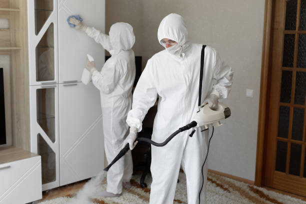 Mold Testing and Removal in Shrewsbury, PA