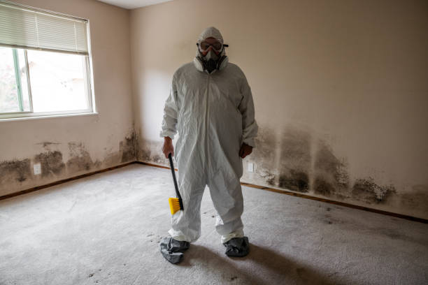 Best Affordable Mold Removal  in Shrewsbury, PA